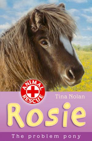 Cover of the book Rosie the problem pony by Kelly McKain