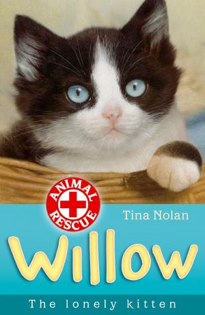Cover of the book Willow the lonely kitten by Peter Bently