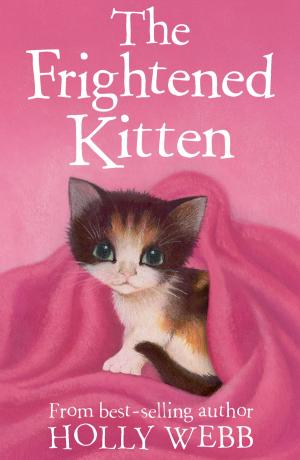 Cover of the book The Frightened Kitten by Linda Chapman
