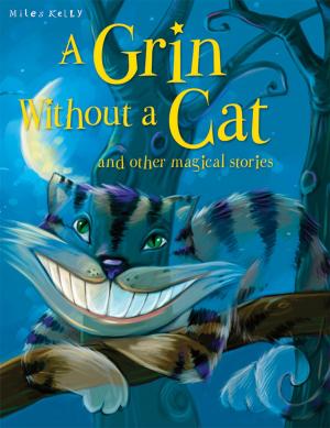 Book cover of A Grin Without a Cat