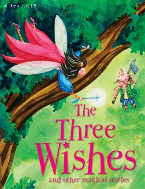 Cover of the book The Three Wishes by Andrew Campbell