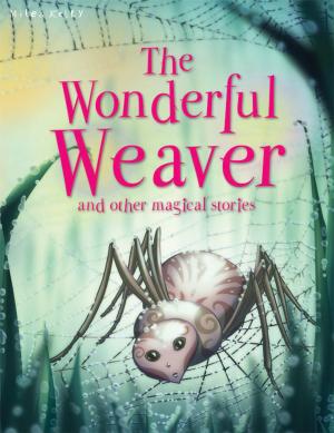 Book cover of The Wonderful Weaver