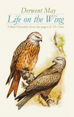 Cover of the book Life on the Wing by Peter Lloyd