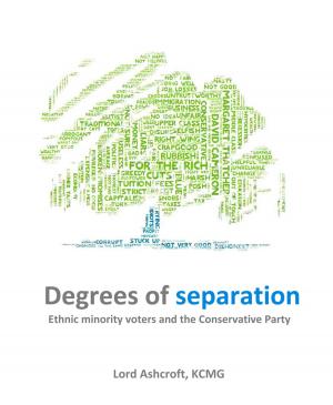 Cover of the book Degrees of Separation by Steve Ramsey