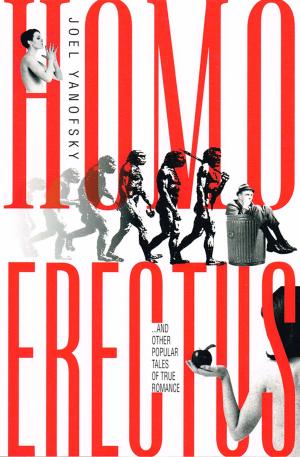 Cover of the book Homo Erectus by Endre Farkas