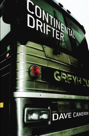 Cover of the book Continental Drifter by Denise Roig