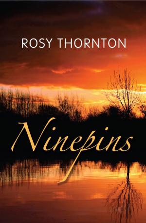bigCover of the book Ninepins by 