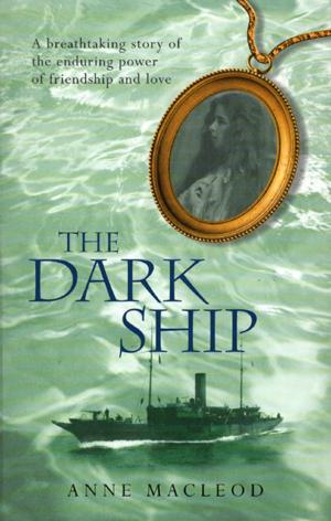 Cover of the book The Dark Ship by Joe Pieri