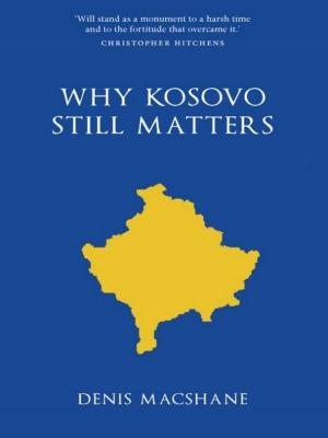 Book cover of Why Kosovo Matters