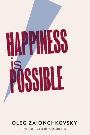 Cover of the book Happiness is Possible by Ann Quin