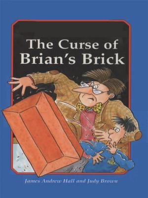Cover of the book The Curse of Brian's Brick by Mandy Rice-Davies