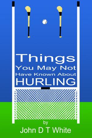 Cover of the book 101 Things You May Not Have Known About Hurling by Mike Holden