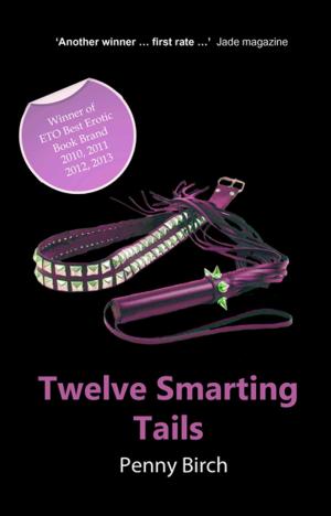Cover of the book Twelve Smarting Tails by Landon Dixon, Elizabeth Coldwell, Bel Anderson, Michael Bracken, Paul Moon