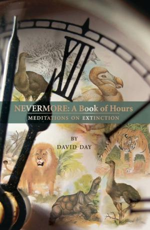 Cover of the book Nevermore by Giovanna Riccio