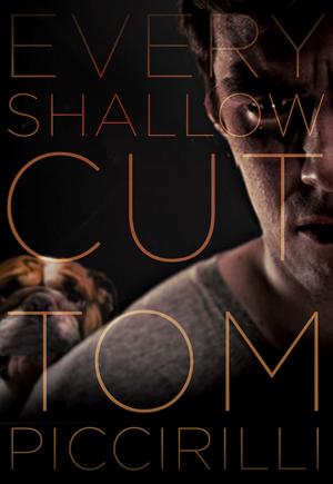 Cover of the book Every Shallow Cut by GMB Chomichuk