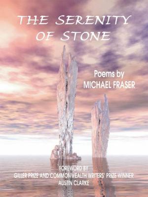 Cover of the book The Serenity of Stone by Michel Pleau (author), Howard Scott (translator).