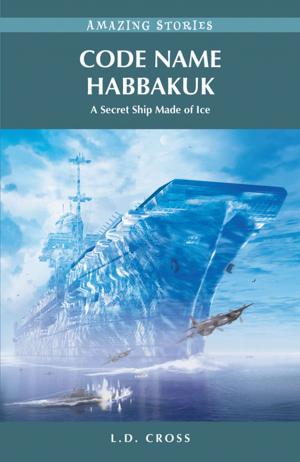 bigCover of the book Code Name Habbakuk: A Secret Ship Made of Ice by 
