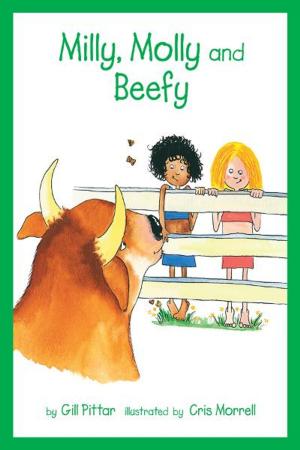 Book cover of Milly, Molly and Beefy