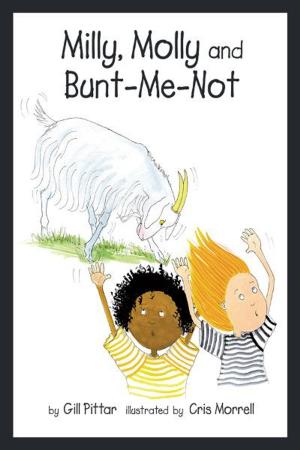 Book cover of Milly, Molly and Bunt-Me-Not