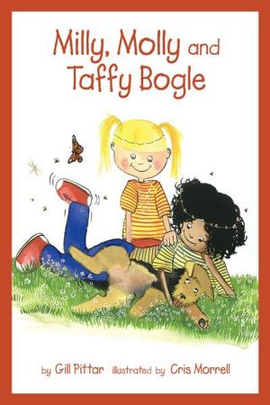 Book cover of Milly, Molly and Taffy Bogle