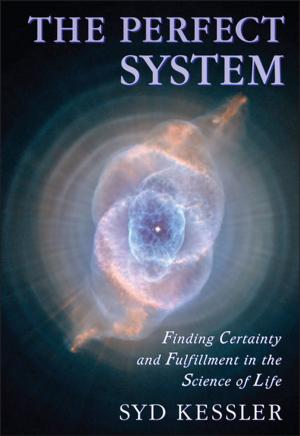 Cover of the book The Perfect System by Brady G. Wilson