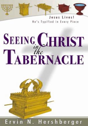 Cover of the book Seeing Christ in the Tabernacle by Georgia McCain