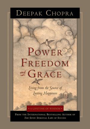 Book cover of Power, Freedom, and Grace: Living from the Source of Lasting Happiness