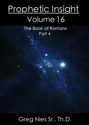 Cover of the book Prophetic Insight Volume 16 by Richard Rundell