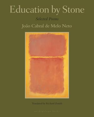Cover of the book Education by Stone by Witold Gombrowicz