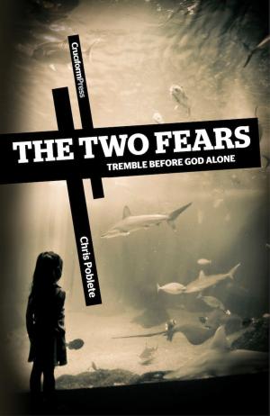 Cover of the book The Two Fears by John Ensor