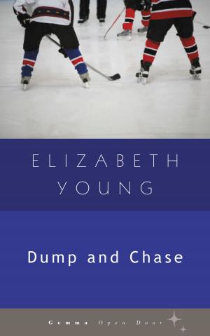 Book cover of Dump and Chase