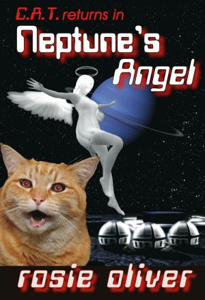 bigCover of the book Neptune's Angel by 