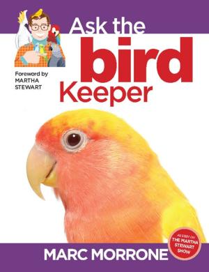 Cover of the book Marc Morrone's Ask the Bird Keeper by Francis Deider, Viviana Pavan