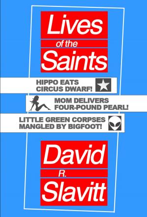 Cover of the book Lives of the Saints by Josh MacIvor-Andersen