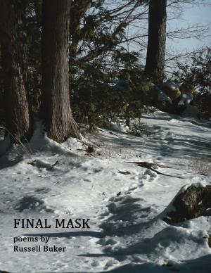 Cover of the book Final Mask by Christopher Alan Anderson