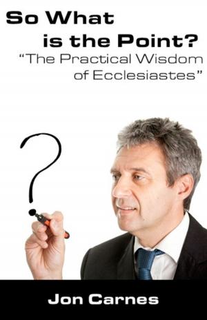 Cover of the book So What is the Point?: The Practical Wisdom of Ecclesiastes by Stan Toler, Keith Hawk