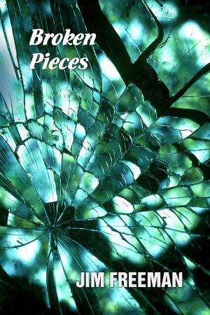 Cover of the book Broken Pieces by Metin Cengiz