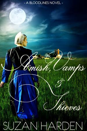 Cover of the book Amish, Vamps & Thieves by Jami Gold