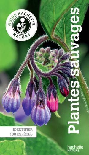 Book cover of Le guide Hachette Nature des Plantes Sauvages
