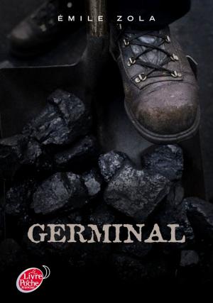 Cover of the book Germinal - Texte abrégé by Jacques Cassabois, Eric Puybaret