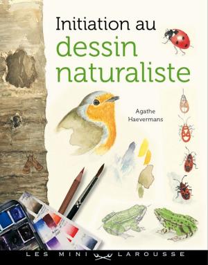 Cover of the book Initiation au dessin naturaliste by Blandine Boyer, Maxime de Bollivier