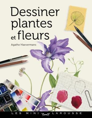 Cover of the book Dessiner plantes et fleurs by Jean Delmas