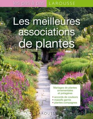 Cover of the book Les meilleures associations de plantes by Collectif