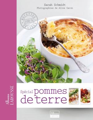 Book cover of Spécial pommes de terre