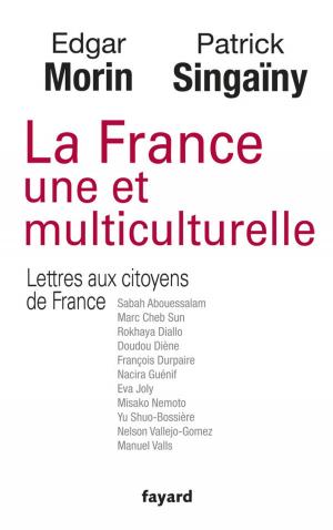 Cover of the book La France une et multiculturelle by Slavoj Zizek