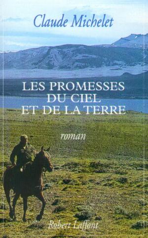 Book cover of Les promesses du ciel et de la terre