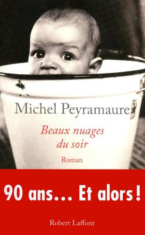 Cover of the book Beaux nuages du soir by Michèle GAZIER