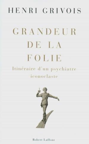 Cover of the book Grandeur de la folie by Peter MAYLE
