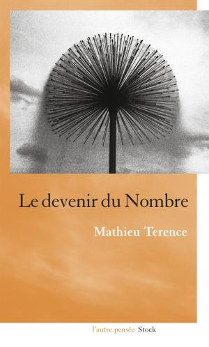 Book cover of Le devenir du nombre