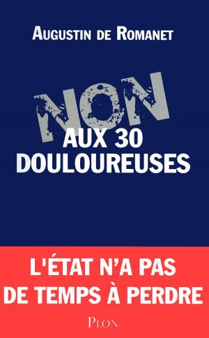 Cover of the book Non aux 30 douloureuses by Bernard SIMONAY
